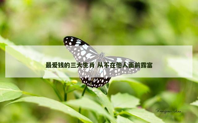 最爱钱的三大生肖 从不在他人面前露富