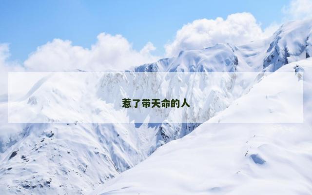 惹了带天命的人