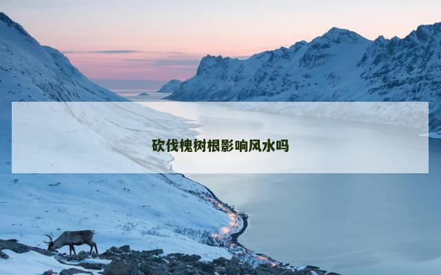 砍伐槐树根影响风水吗
