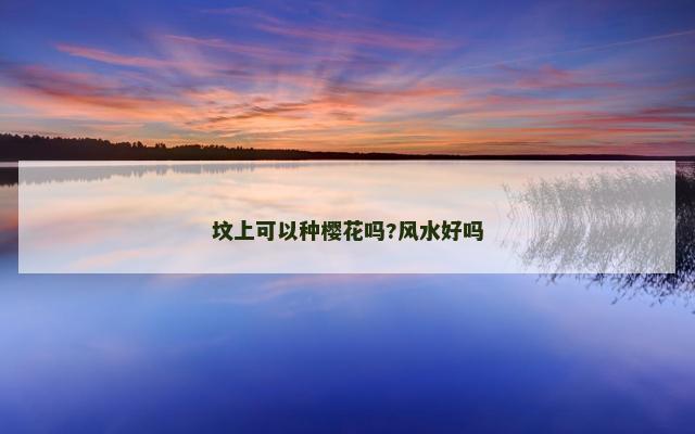 坟上可以种樱花吗?风水好吗