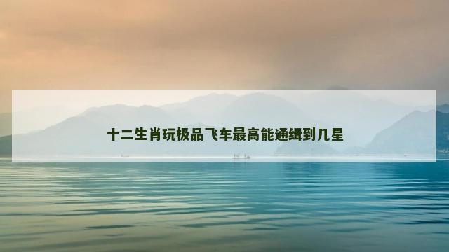 十二生肖玩极品飞车最高能通缉到几星