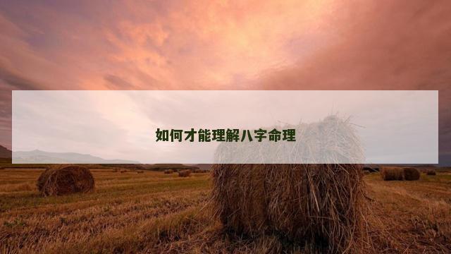 如何才能理解八字命理