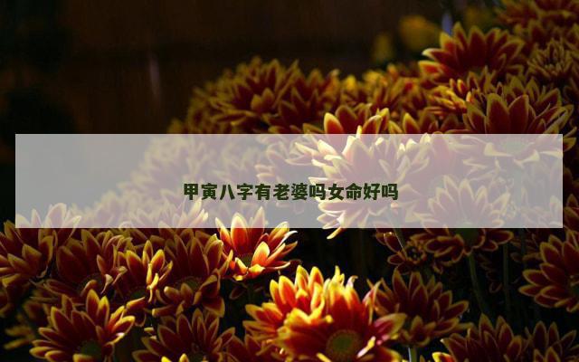 甲寅八字有老婆吗女命好吗