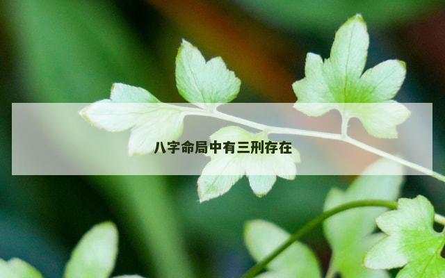 八字命局中有三刑存在