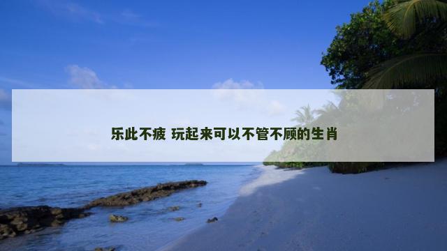 乐此不疲 玩起来可以不管不顾的生肖