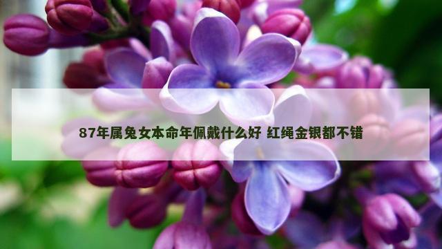 87年属兔女本命年佩戴什么好 红绳金银都不错