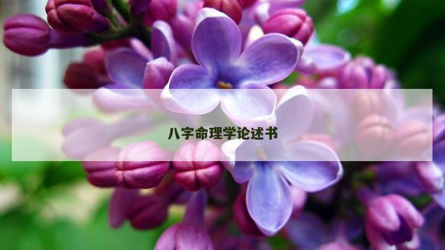八字命理学论述书