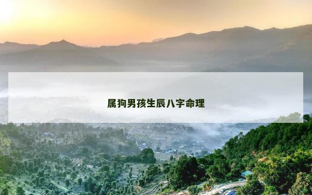 属狗男孩生辰八字命理