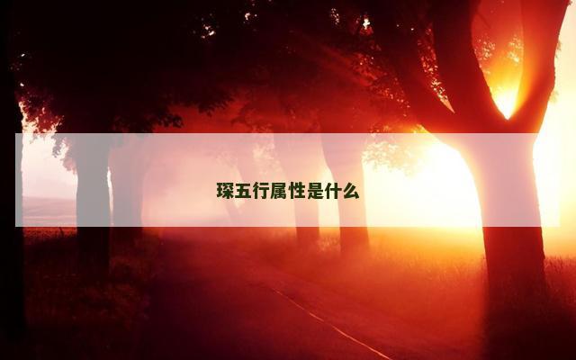 琛五行属性是什么