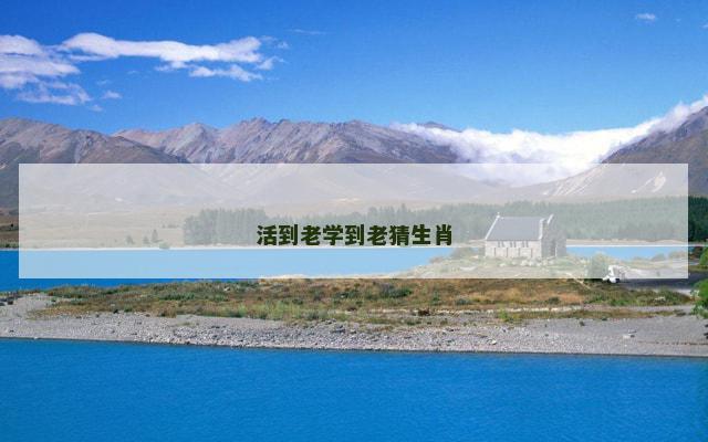活到老学到老猜生肖