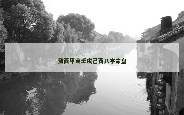 癸酉甲寅壬戌己酉八字命盘