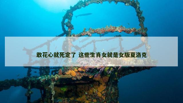 敢花心就死定了 这些生肖女就是女版夏洛克