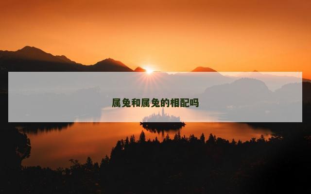 属兔和属兔的相配吗
