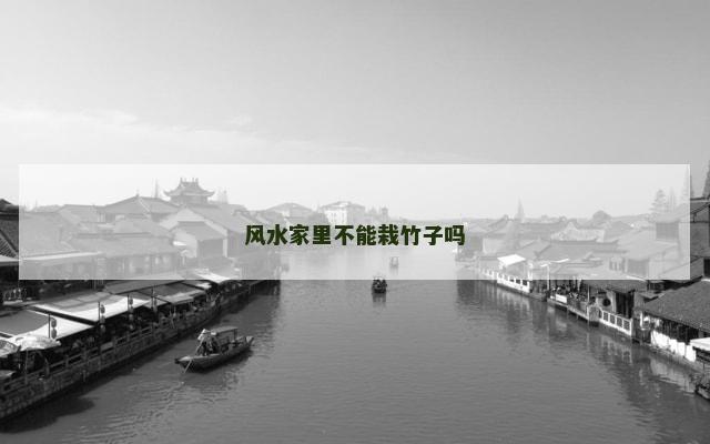 风水家里不能栽竹子吗