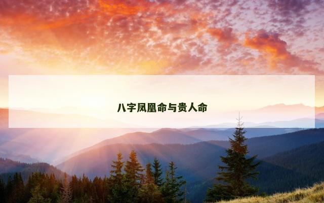 八字凤凰命与贵人命