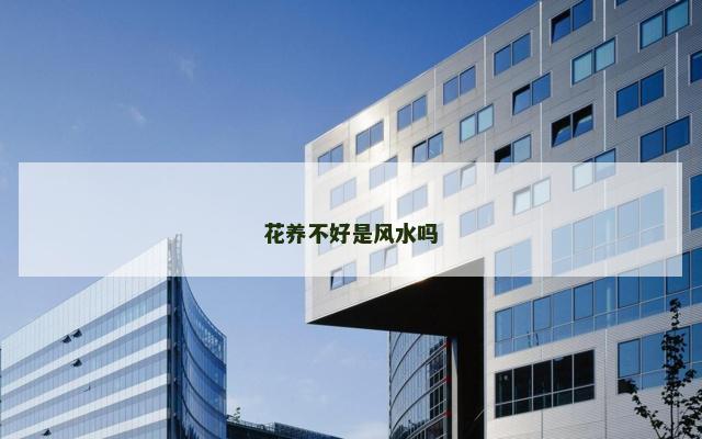 花养不好是风水吗