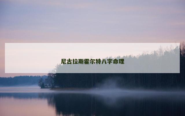 尼古拉斯霍尔特八字命理