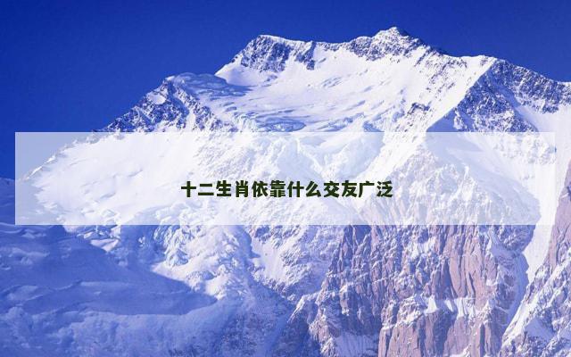 十二生肖依靠什么交友广泛