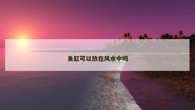 鱼缸可以放在风水中吗