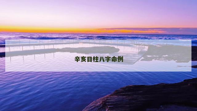 辛亥日柱八字命例