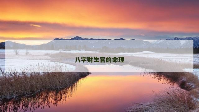 八字财生官的命理