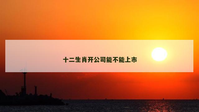 十二生肖开公司能不能上市