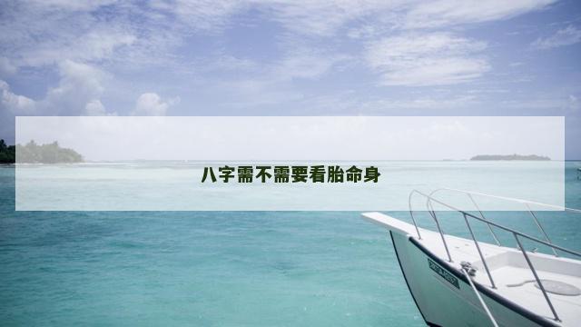 八字需不需要看胎命身
