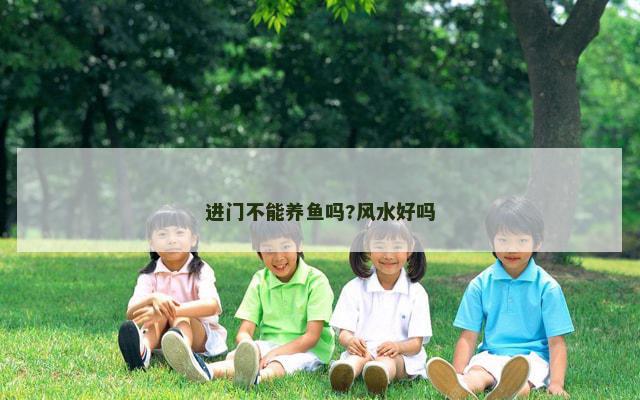 进门不能养鱼吗?风水好吗