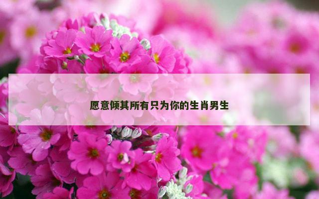 愿意倾其所有只为你的生肖男生