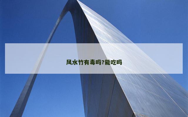 风水竹有毒吗?能吃吗