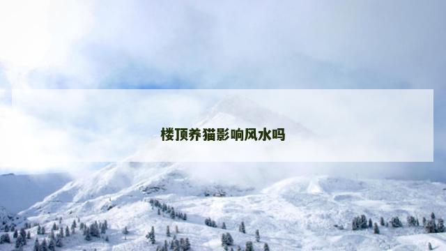 楼顶养猫影响风水吗