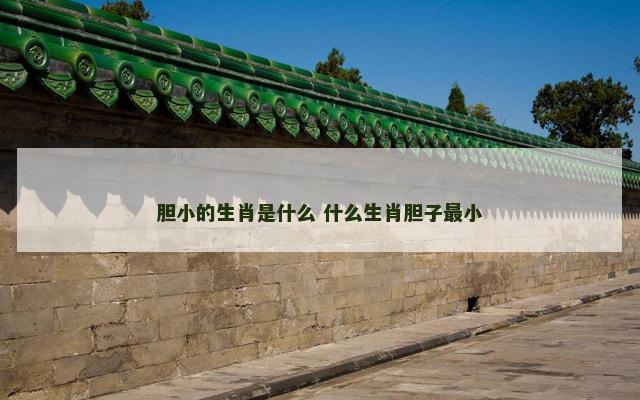 胆小的生肖是什么 什么生肖胆子最小
