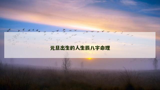 元旦出生的人生辰八字命理