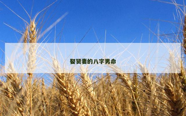 娶贤妻的八字男命