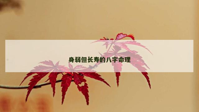 身弱但长寿的八字命理