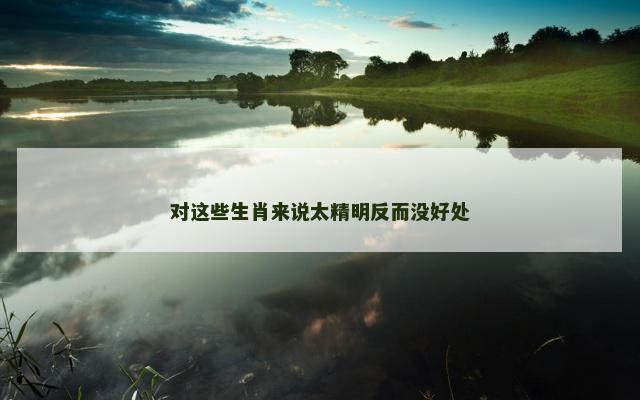 对这些生肖来说太精明反而没好处