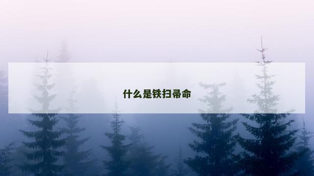 什么是铁扫帚命