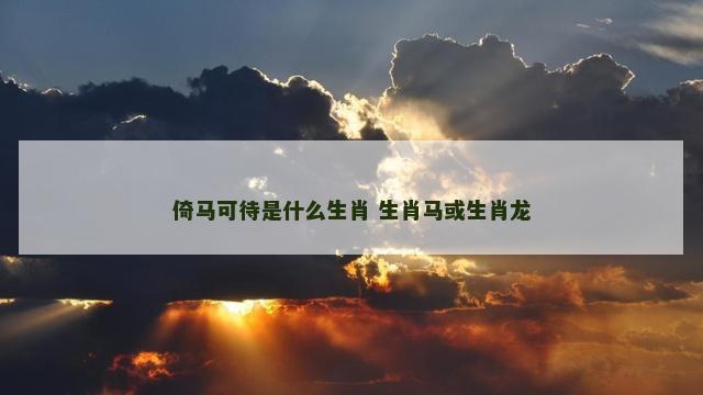倚马可待是什么生肖 生肖马或生肖龙