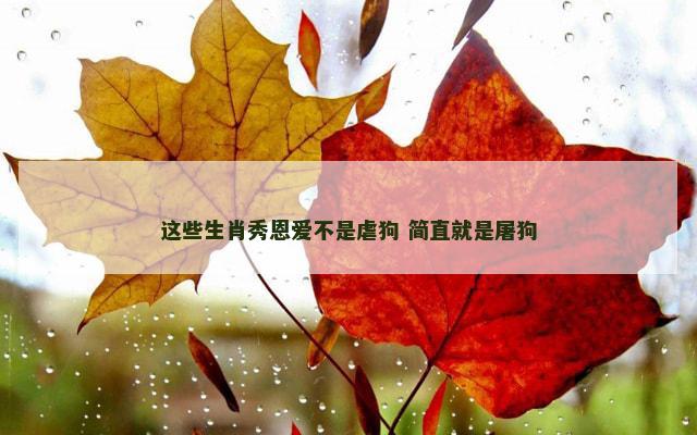 这些生肖秀恩爱不是虐狗 简直就是屠狗