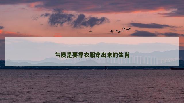 气质是要靠衣服穿出来的生肖