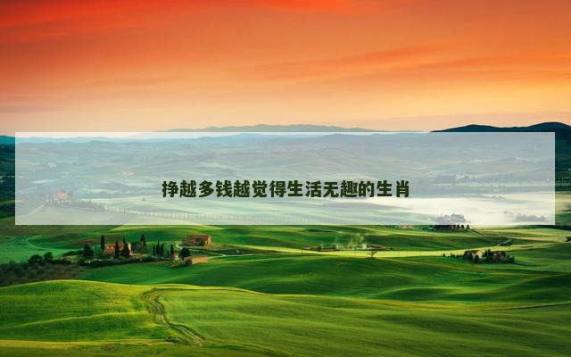 挣越多钱越觉得生活无趣的生肖