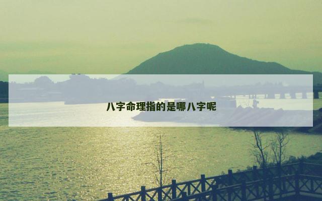 八字命理指的是哪八字呢