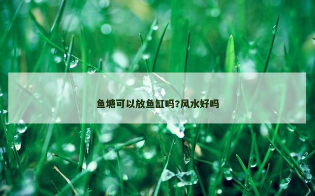 鱼塘可以放鱼缸吗?风水好吗