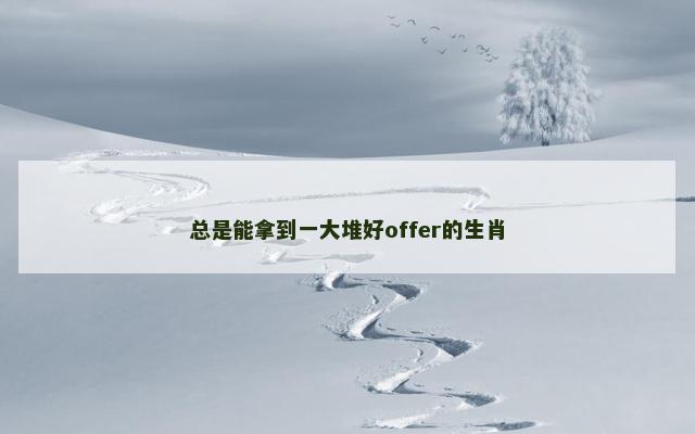 总是能拿到一大堆好offer的生肖