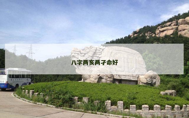 八字两亥两孑命好