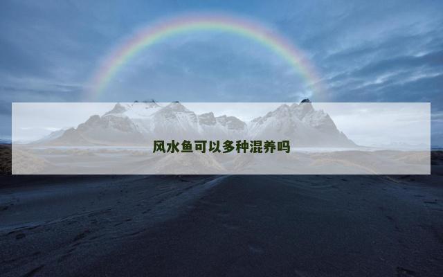 风水鱼可以多种混养吗