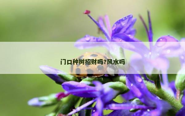门口种树招财吗?风水吗