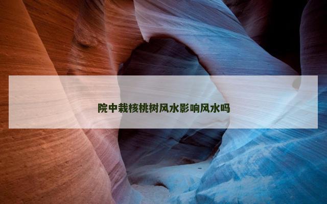 院中栽核桃树风水影响风水吗