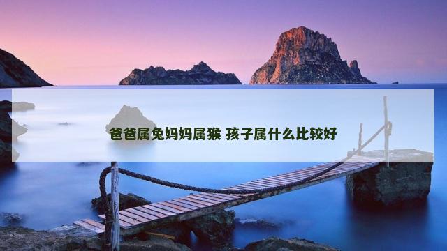 爸爸属兔妈妈属猴 孩子属什么比较好