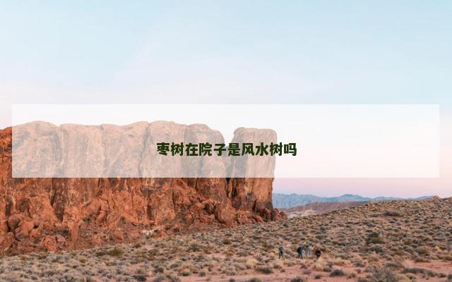 枣树在院子是风水树吗